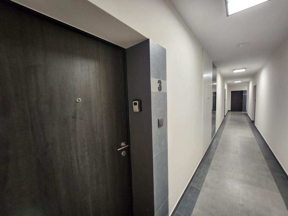 Dwa Jelonki, Ul Sciegiennego, Centrum, Garaz, Ogrodek Kielce Esterno foto